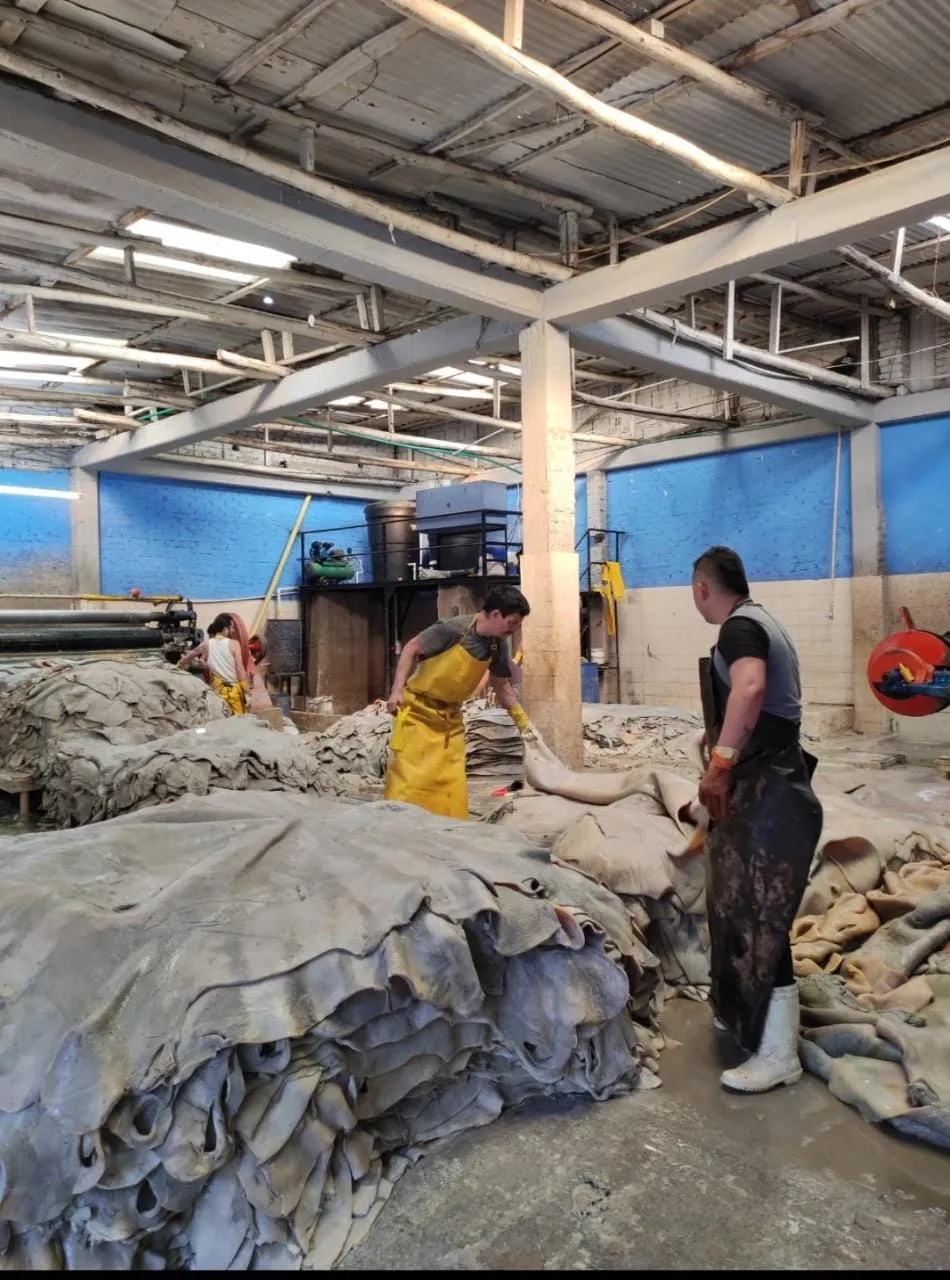 Leather production process