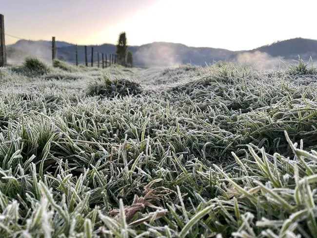 representative image of the post content