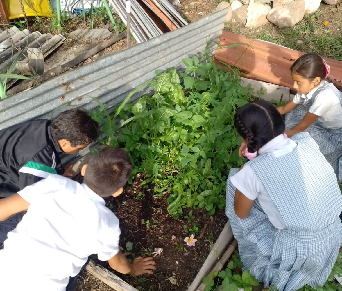 representative image of the post content