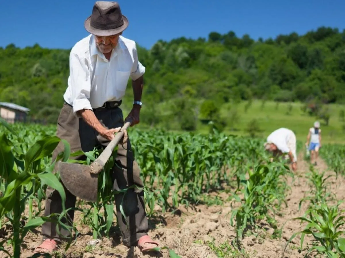 Reprentative image for: Social justice