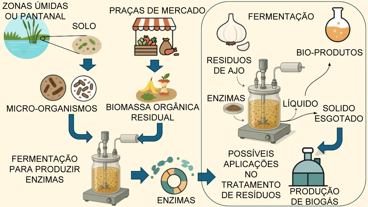 Waste transformation